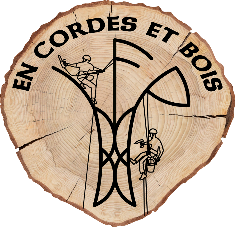 En Cordes Et Bois